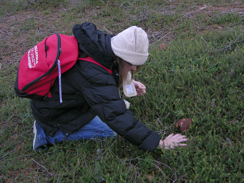 Nei boschi del mauretto..quando il gatto non c''�...